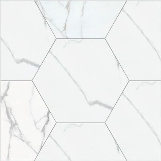 Hexagon White Brick 3D Model