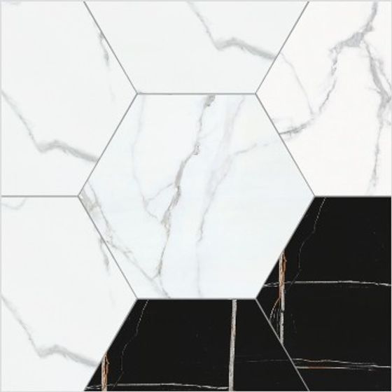 Hexagonal Black and White Tile 3D Model