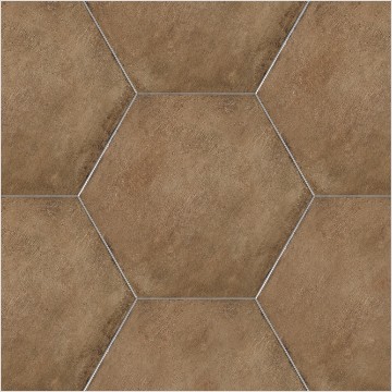 Rustic Hexagon Tile 3D model