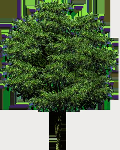 Soft packing material