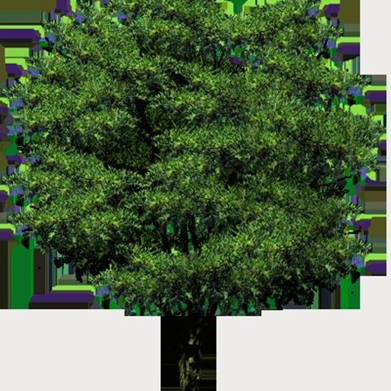 Soft packing material