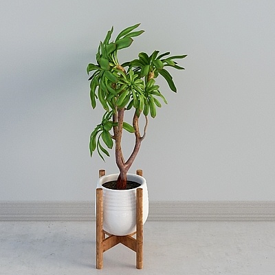 Combinaison d'Artéfacts d'Hôtel-Restaurant-Plante de Printemps Sena-699