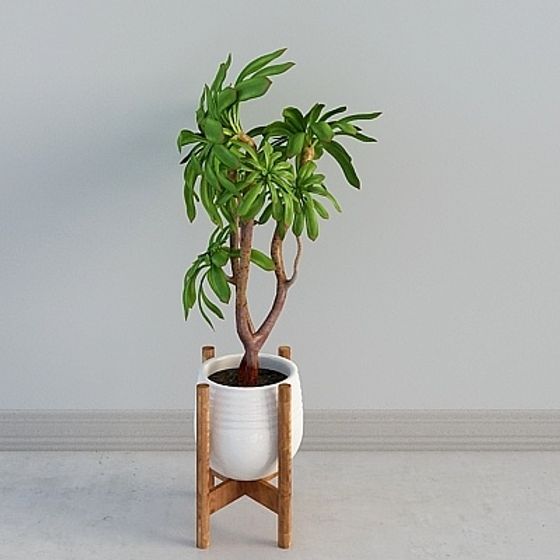 Elegant Low-Poly Plant Pot 3D model