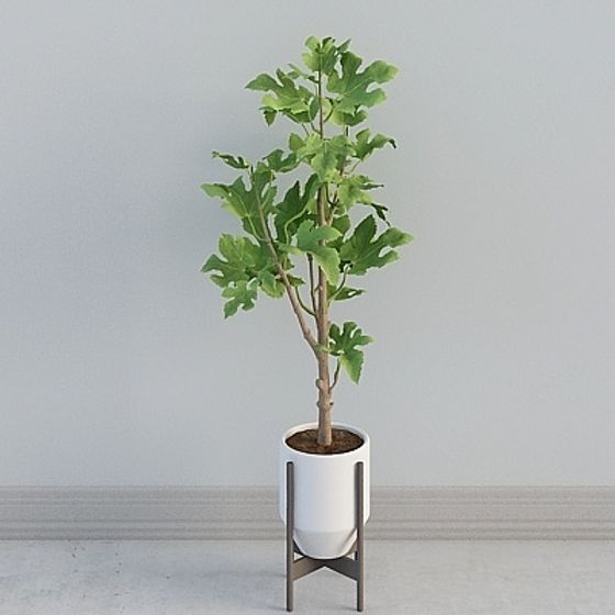 Urban Oasis Low-Poly 3D Model