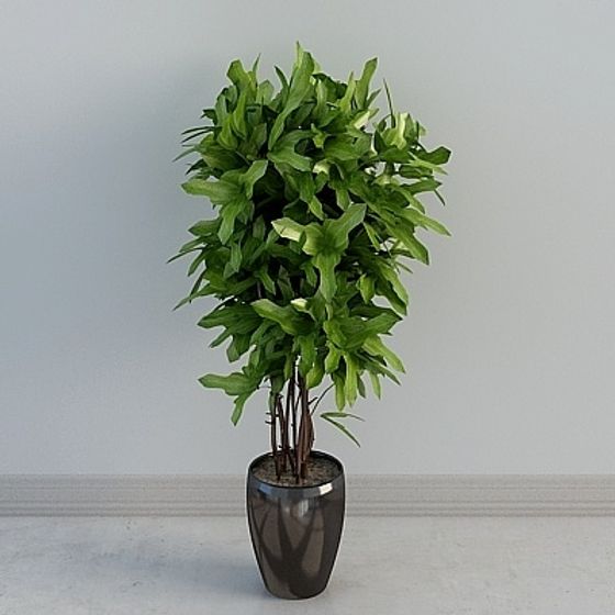 Elegant Indoor Plant 3D model for Design Projects
