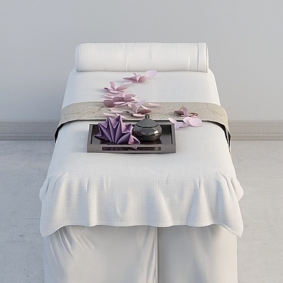 Clubhouse de spa combiné-Lit de massage