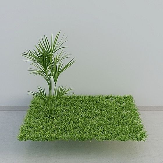 Tropical Palm Tree 3D Model