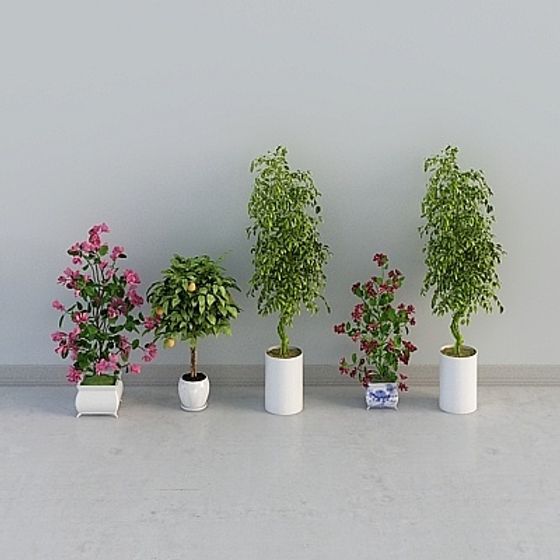 Lush Greenery 3D Model Collection for Interior Design