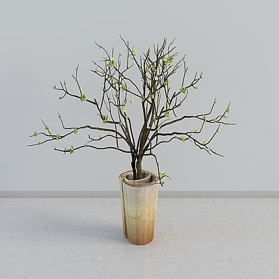 American B suite-living room-bonsai plant combination