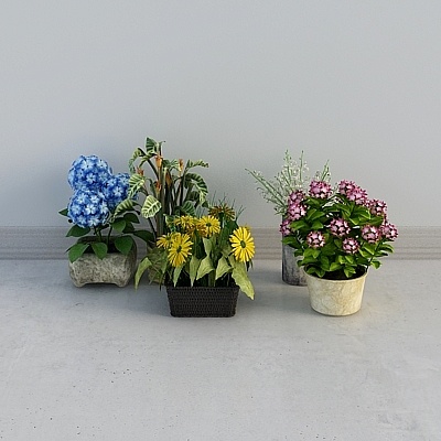 Fresh Flowers Cosmos Flower Basket Set