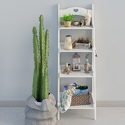 Storage Shelf Set