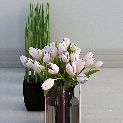 Pink tulips in dark vase with green grass in black pot on white background