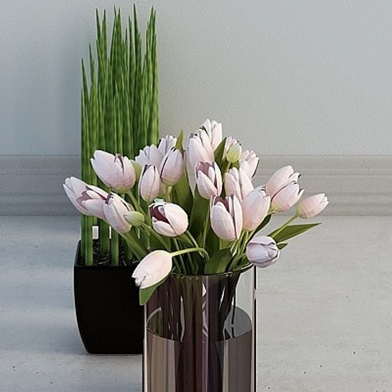 Pink tulips in dark vase with green grass in black pot on white background