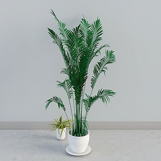 Tropical Green Plant 3D model