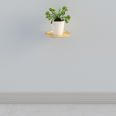 Foster Home - Western Pioneer - Combinación de plantación verde