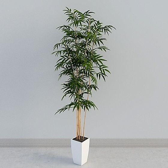 Bamboo Potted Plant 3D model for Modern Interiors