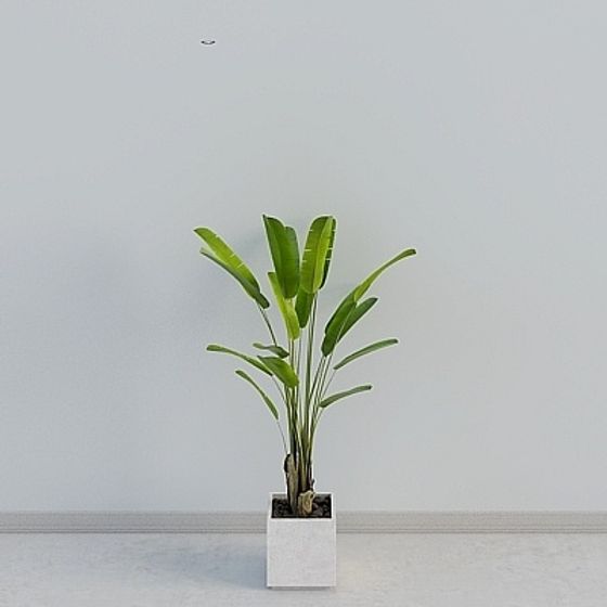 Urban Oasis 3D model in Modern Minimalist Design