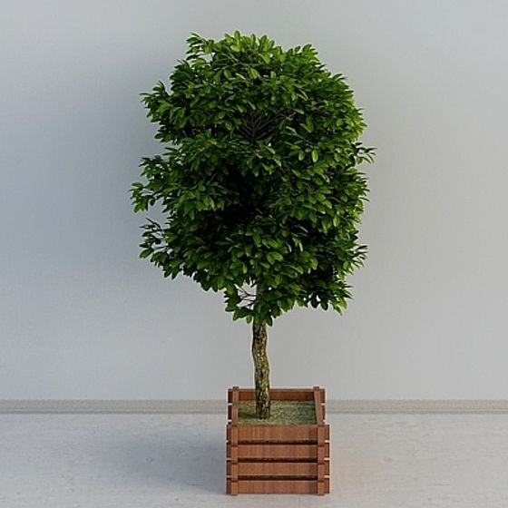 Urban Oasis 3D model