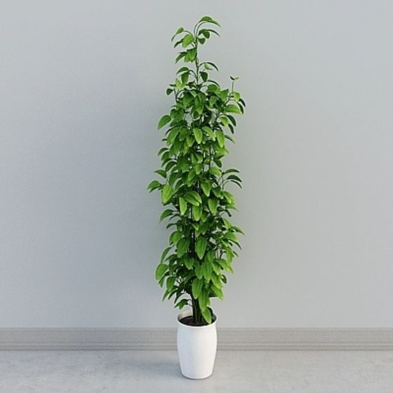 Stylish Potted Plant 3D model for Modern Interiors