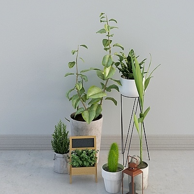 Muzhiqingchen Green Plant 01 Set