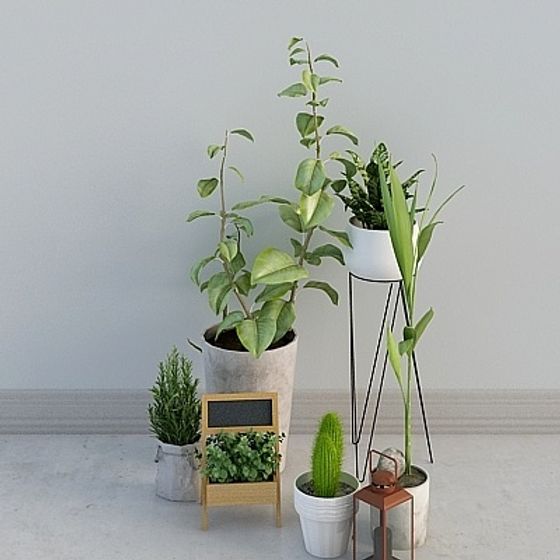 Urban Greenery 3D Model