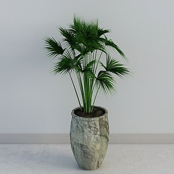 Lush Palm Tree 3D model in Textured Vase