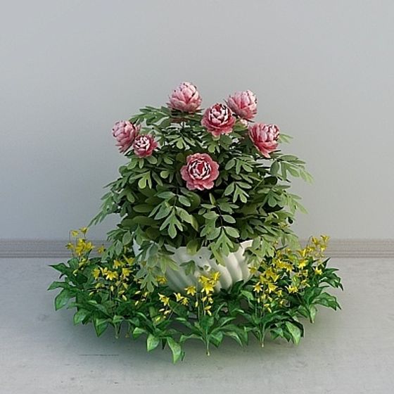 Flower Bed Vitality 3D model