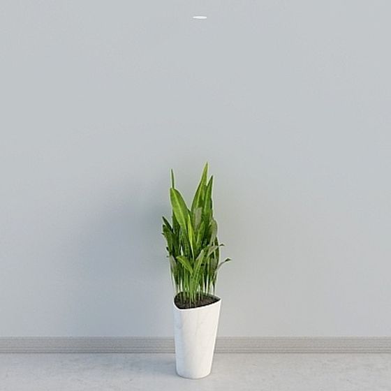 Urban Greenery 3D model for Contemporary Spaces