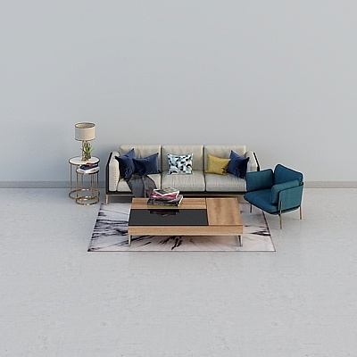 Modern style living room-sofa combination