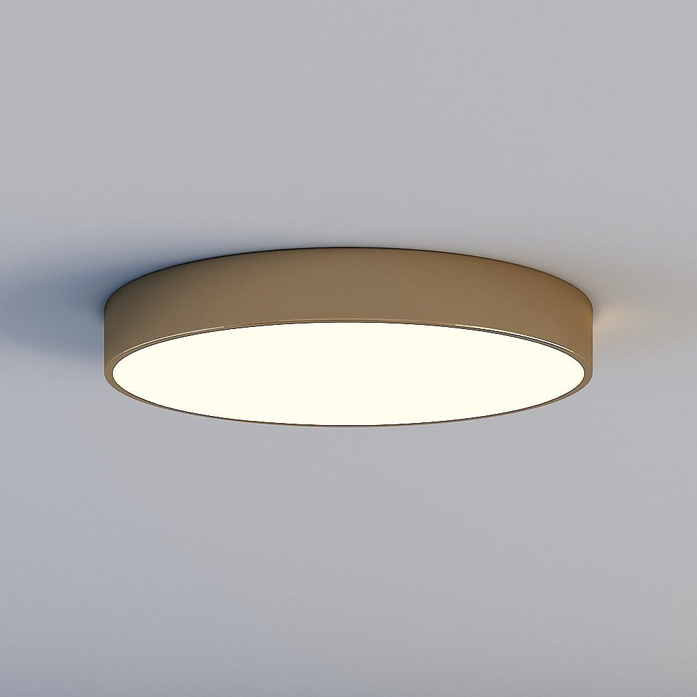 Ceiling light