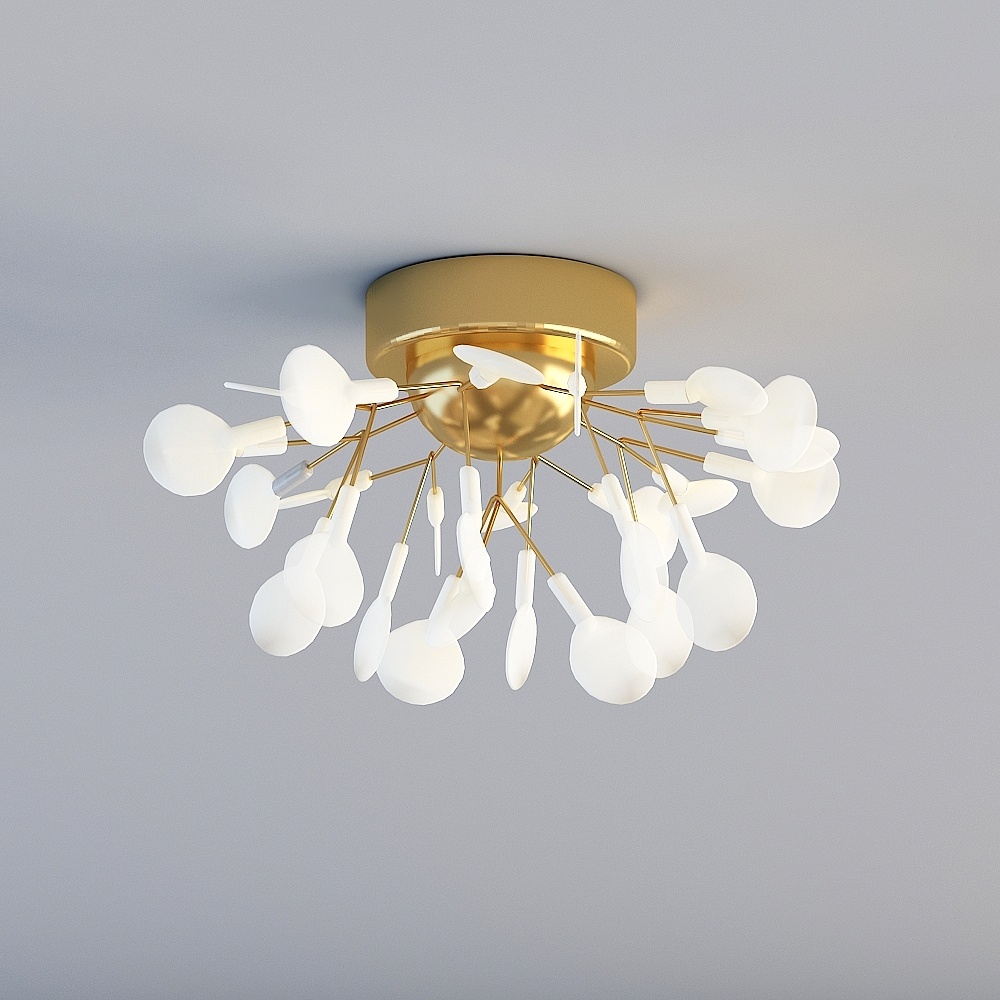 Ceiling light