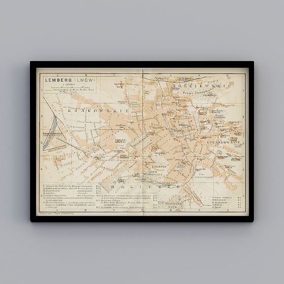 Lemberg (Lwów) Vintage Map 3D Model