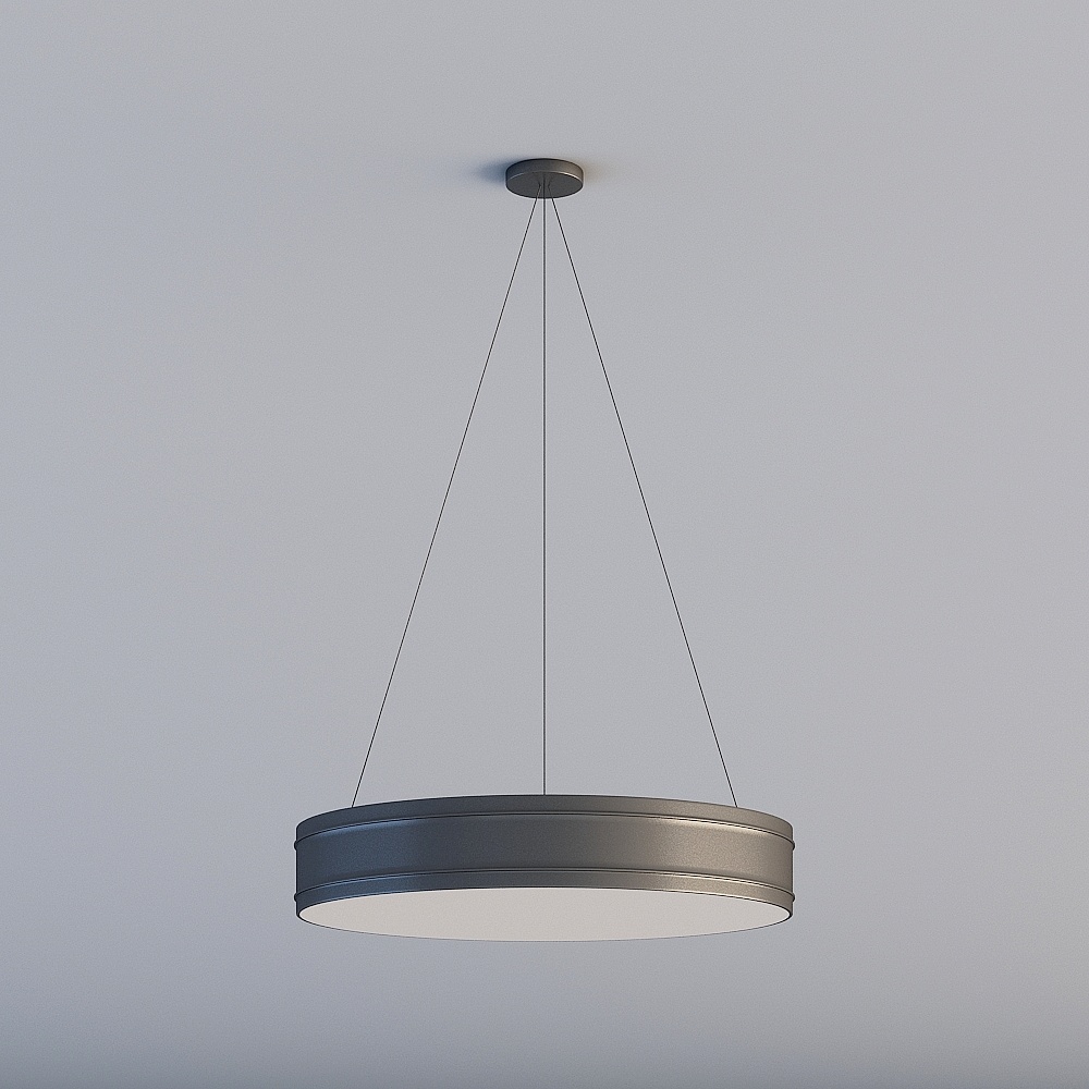 Elegant Modern Pendant Light 3D model