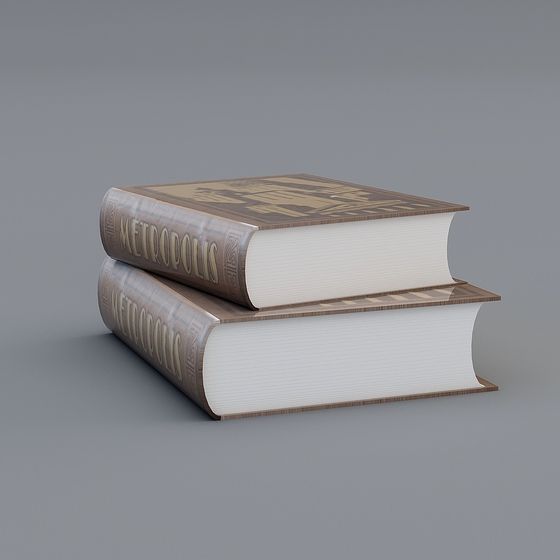 Literary Classics Book Stack 3D model