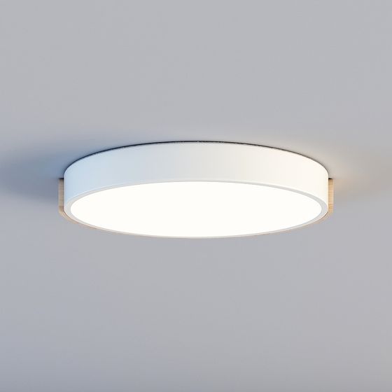 Modern Minimalist Ceiling Light 3D model
