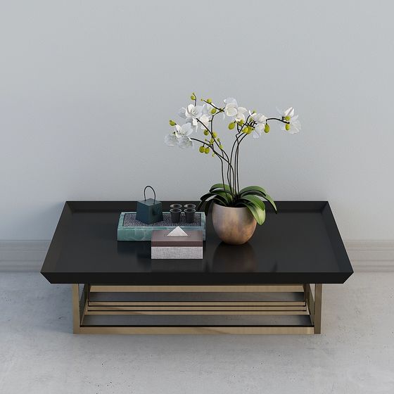 Mesa de Centro Negra Moderna