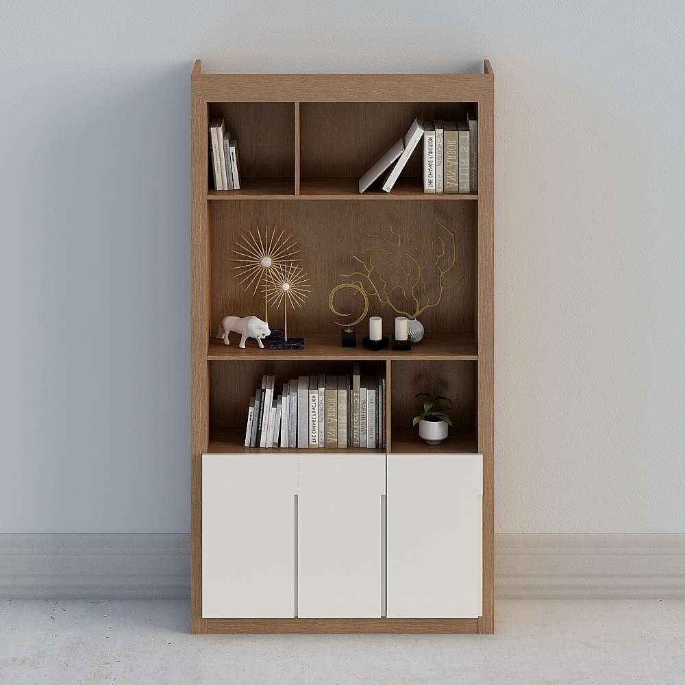 Modern bookcase 001