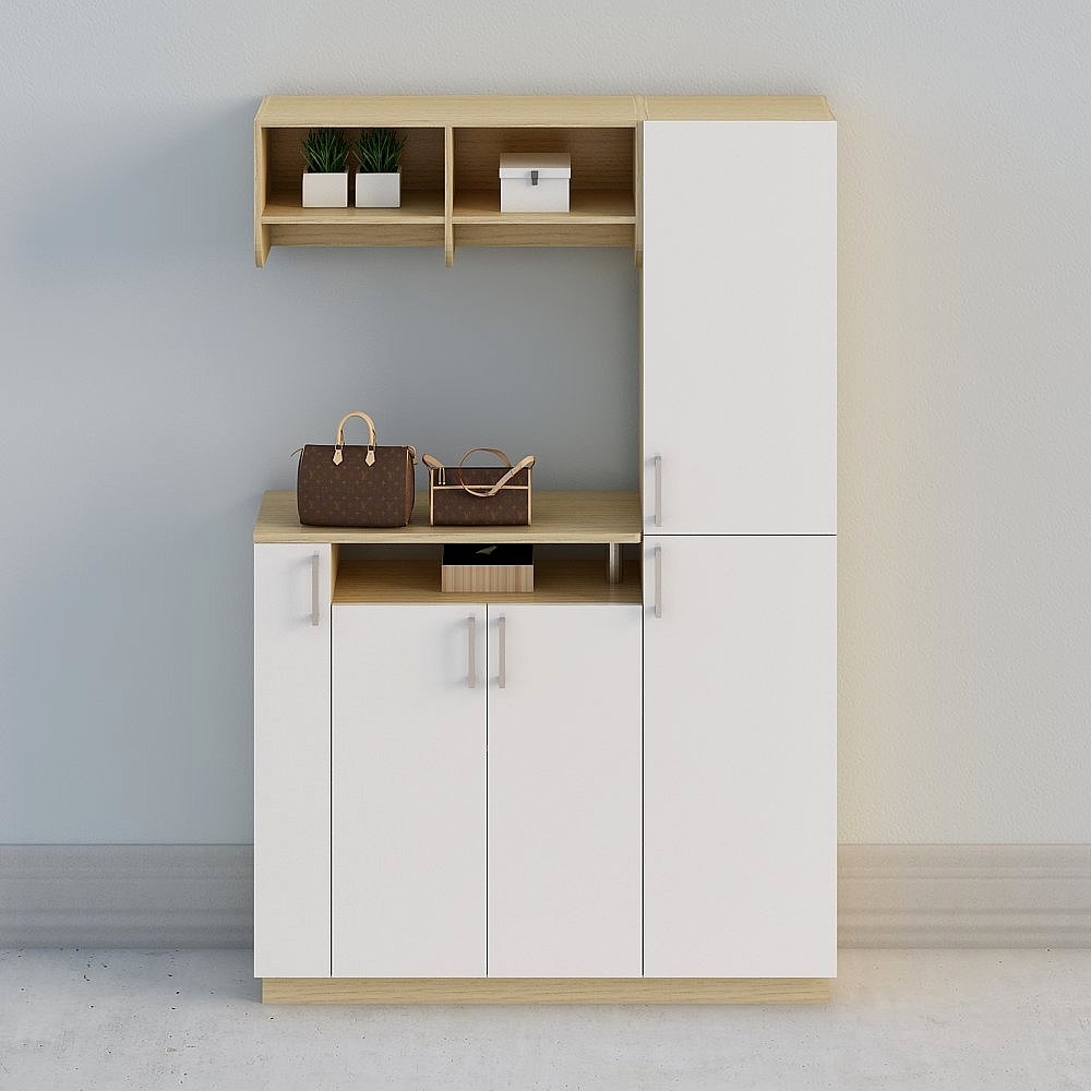 "Personalizzazione Globale" - Armadio di Stoccaggio Moderno Semplice