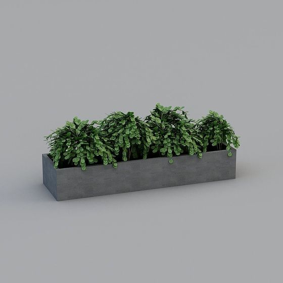 Modern Minimalist Rectangular Planter 3D model