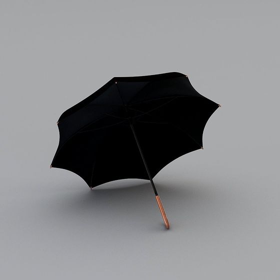 Classic Black Umbrella 3D model