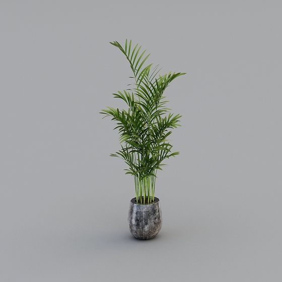 Realistic Indoor Plant 3D model for Creative Projects