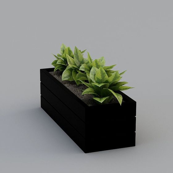 Urban Green Plant Box 3D model