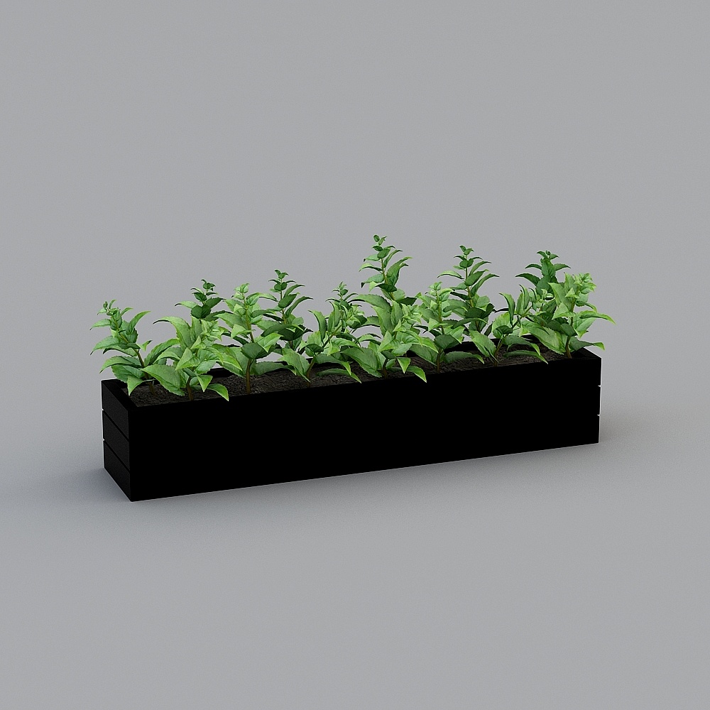 Modern green plant Green Plant