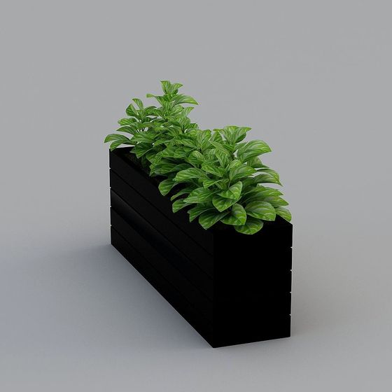 Urban Green Plant Flower Box 3D model