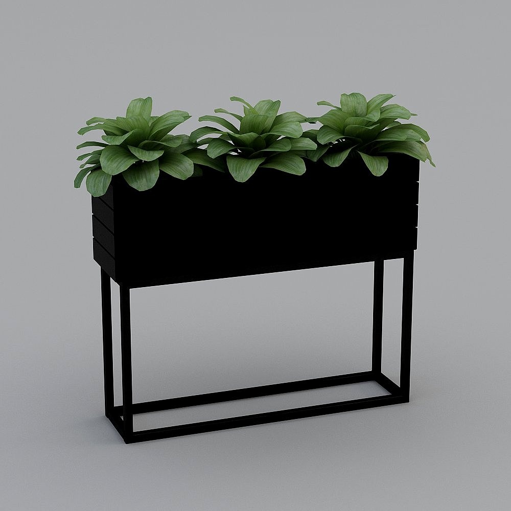 Современная зеленая посадка