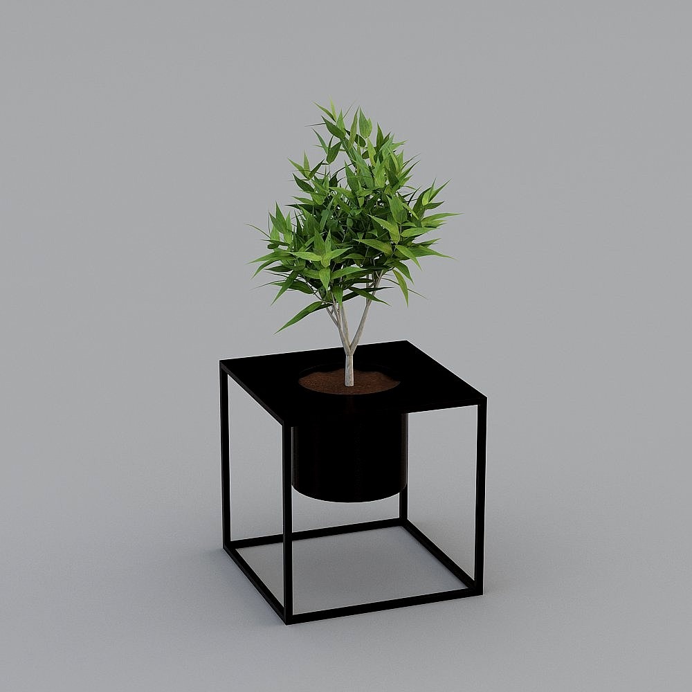 Pianta Verde Moderna