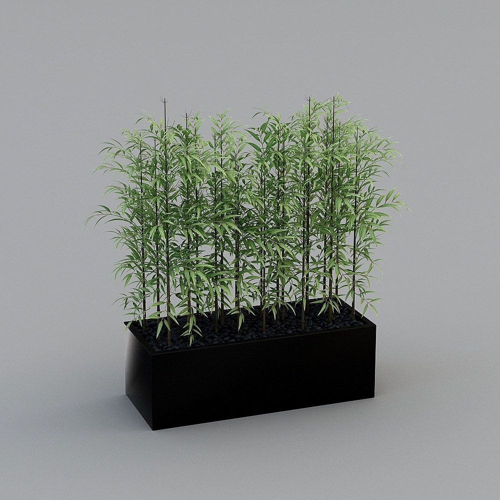 Cây xanh trồng tre hiện đại