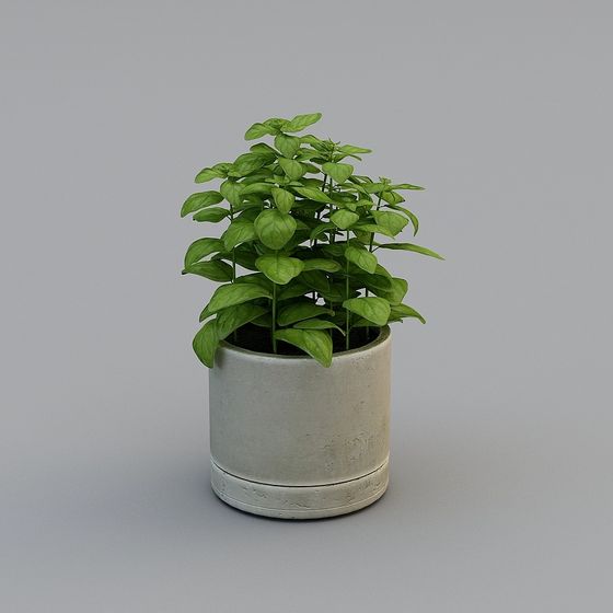 Urban Green Plant Pot 3D model