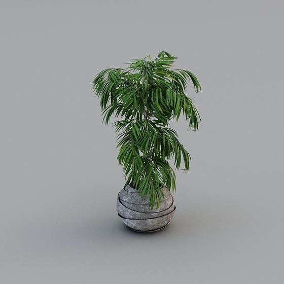 Stunning Indoor Plant 3D Model for Creative Projects