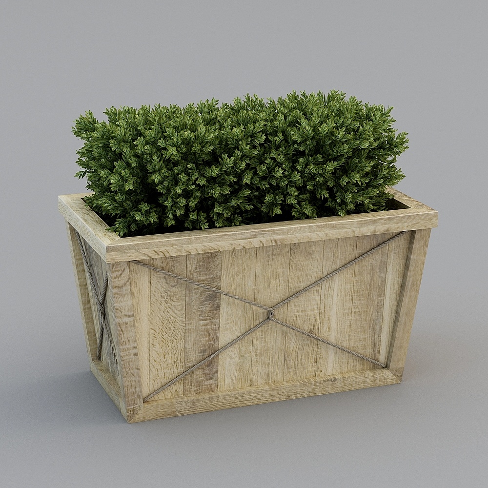 Planta verde pastoral